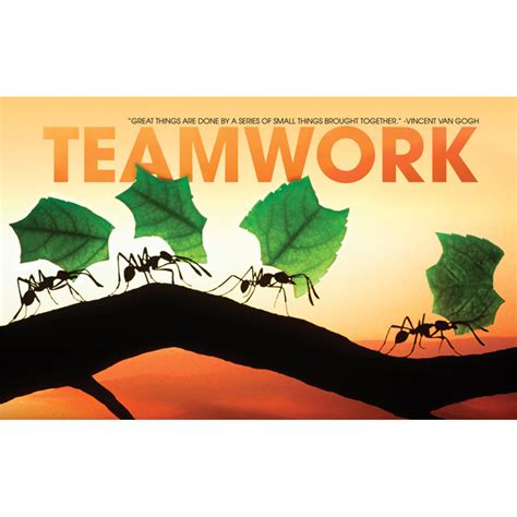 Teamwork Ants Walls 360
