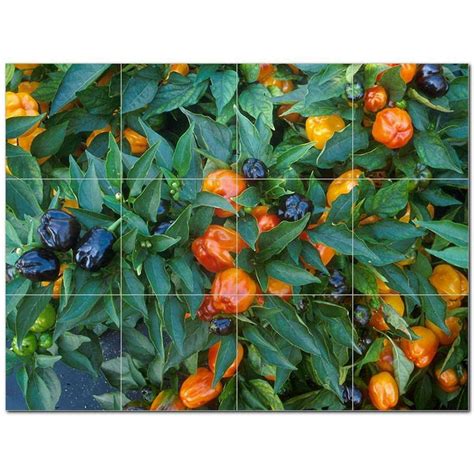 Fruits Vegetables Ceramic Tile Mural Kitchen Backsplash Bathroom Shower