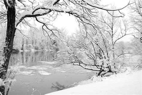 Winter Wonderland In Black And White Photograph By Tracy Winter Fine