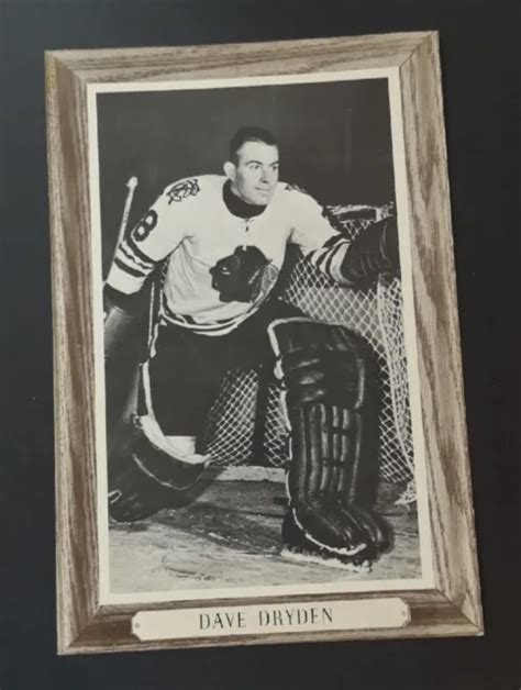 1964 67 Beehive Hockey Photo Group Iii Woodgrain Dave Dryden 299