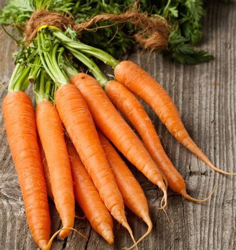 Organic Heirloom Tendersweet Carrot Seed Daucus Carota 150 Seeds
