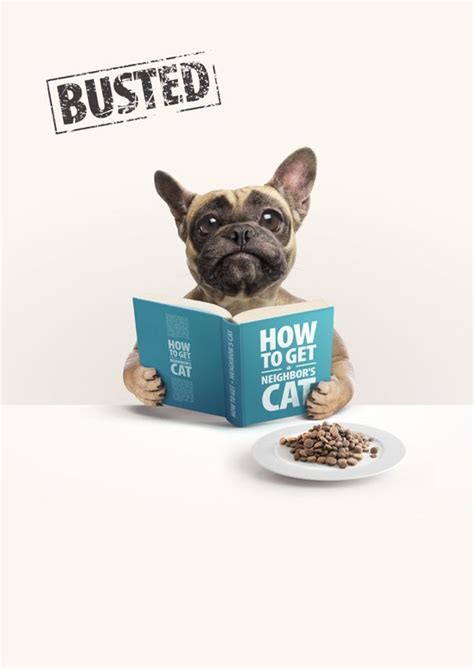 Compre e comece a ler a amostra digital deste livro enquanto espera ele chegar. Pin de Helga em The Ark | Buldogue, Bichinhos fofos ...