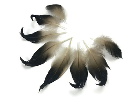Duck Feathers 10 Pieces Natural Mallard Drake Black Curly Etsy