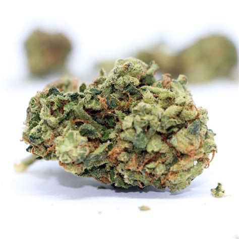 Afghan Kush Weed Strain Reviews Information And Effects