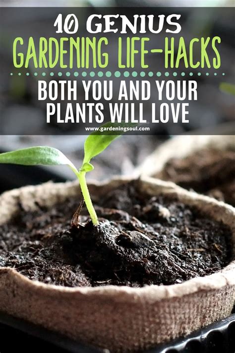 10 genius gardening life hacks both you and your plants will love plants hacks life hacks