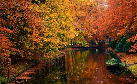 Water Forest Autumn Wallpaper 5790 Pc