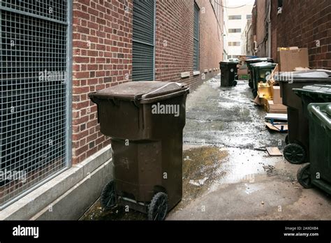 Garbage Cans And Recycling Bins In A City Alley With Cardboard Boxes