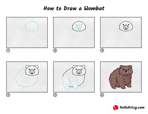 How To Draw A Wombat Helloartsy