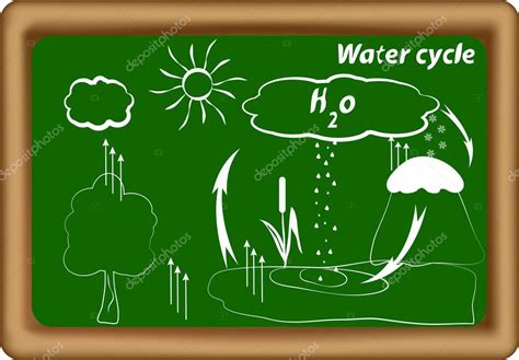 Water Cycle Hydrological Cycle H2o Cycle Vector Premium Vector In