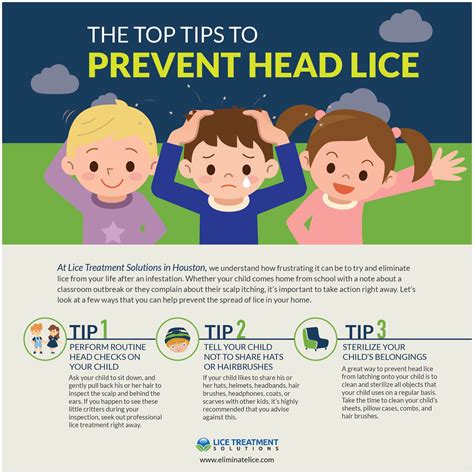 Head Lice Treatment Houston Tips To Prevent Head Lice