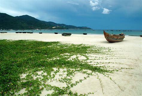 Xuan Thieu Beach Danang Living Nomads Travel Tips Guides News