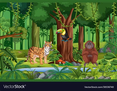 Tropical Rainforest Scene With Various Wild Vector Image
