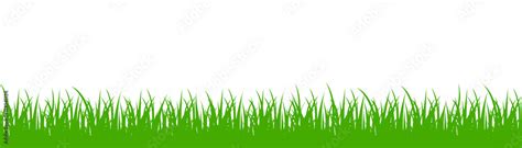 Green Grass On White Background Vector Stock Vector Adobe Stock