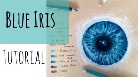 Drawing Realistic Eyes How To Draw A Blue Iris Youtube