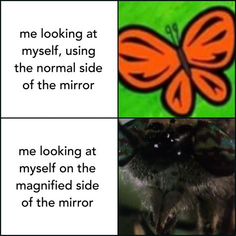 Flipping The Mirror To The Magnified Side Is Truly Terrifying 0 R