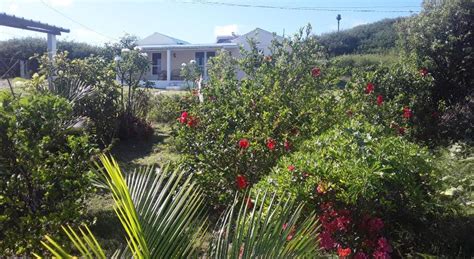 Hebergement Vue Sur Mer Iles Rodrigues Offres ActualisÉes 2020 à