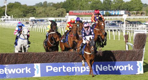 Christie Is Toast Of The Foxhunter Stratford Racecourse Horse