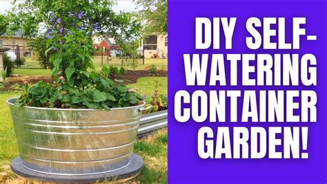 Diy Self Watering Container Garden Youtube