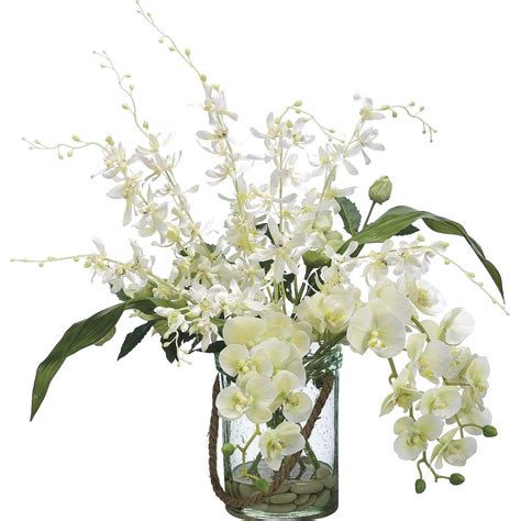 Arrangement White Dendrobium Orchids Orchid Flowers
