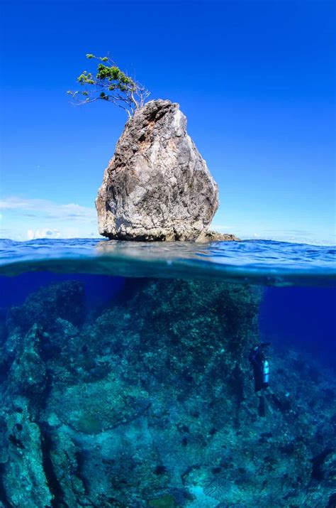 Underwater Photography Tutorials For All Underwater Photographers