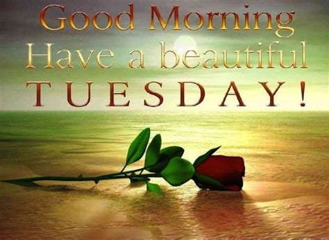 Find the best good morning tuesday wishes quotes greetings and pictures here. 38 Good Morning Wishes on Tuesday