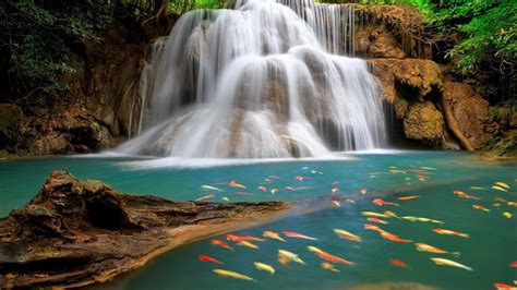 Beautiful Waterfall Wallpaper 50 Images