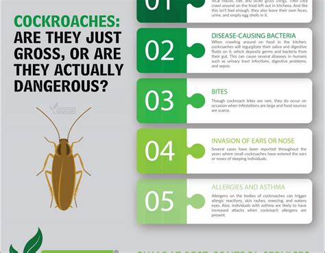 Basic Factors To Cockroach Control Gujarat Pest Control Services® Pest Control Company