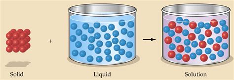 Chemistry Of Organisms Biology Junction