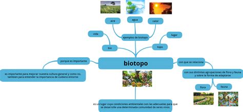 Ecologia Tarea3 Mapa Mental De Biotopo