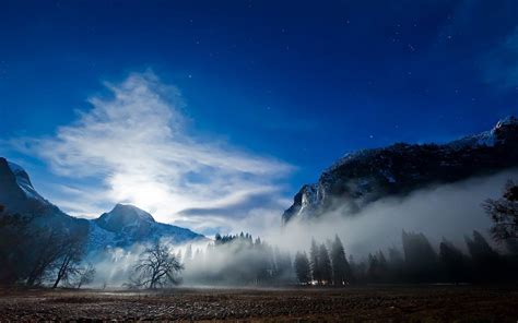 Download Wallpapers Stars The Sky Fog Sky Landscape Trees Moon