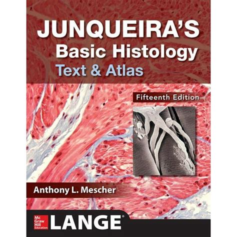 Junqueiras Basic Histology Text And Atlas Fifteenth Edition Edition