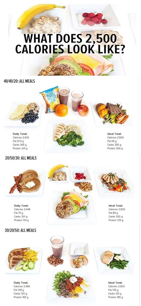 What Is A 1000 Calorie A Day Diet Weight Loss