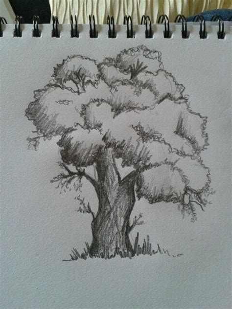 Dibujos A Lapiz De Arboles En Otoño Cómo Dibujar Un árbol A Lápiz