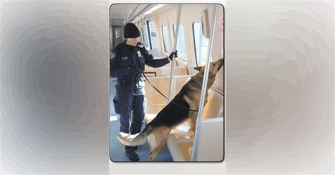 K 9 Unit Helps Keep Marta Safe Mass Transit