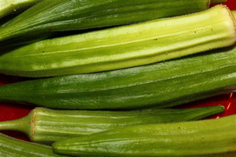 Okra, the Vegetable of Survival. The vegetable of my ancestors brings ...