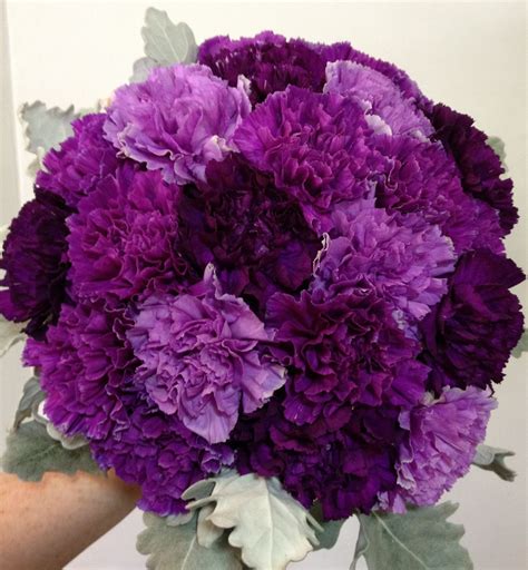 Carnations are some of the most underrated flowers, and are often overlooked because they're so affordable and easily accessible. Carnation Posy | Purple carnation bouquet, Purple wedding ...