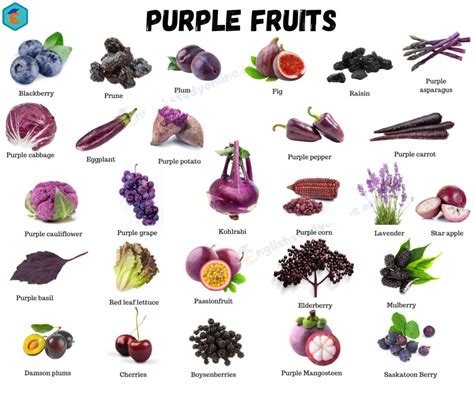 40 Purple Fruits A List Of Majestic Fruits In Purple English Study