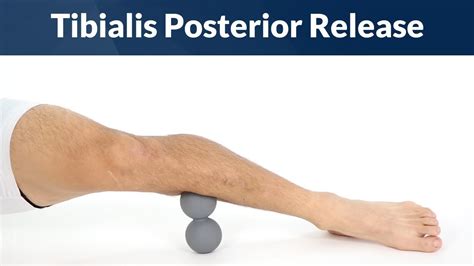 Tibialis Posterior Release Massage For Shin Splints Youtube