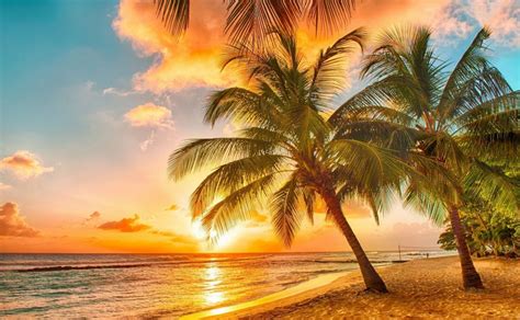 Beach Palm Trees Tropical Sunset Wallpaper 1920x1183