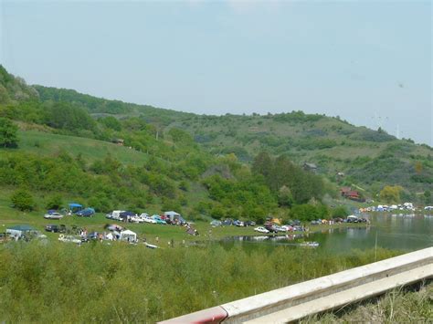 Această fotografie este despre verde, vibrant, viu. plecat de acasă: Depresiunea colinară a Transilvaniei ...