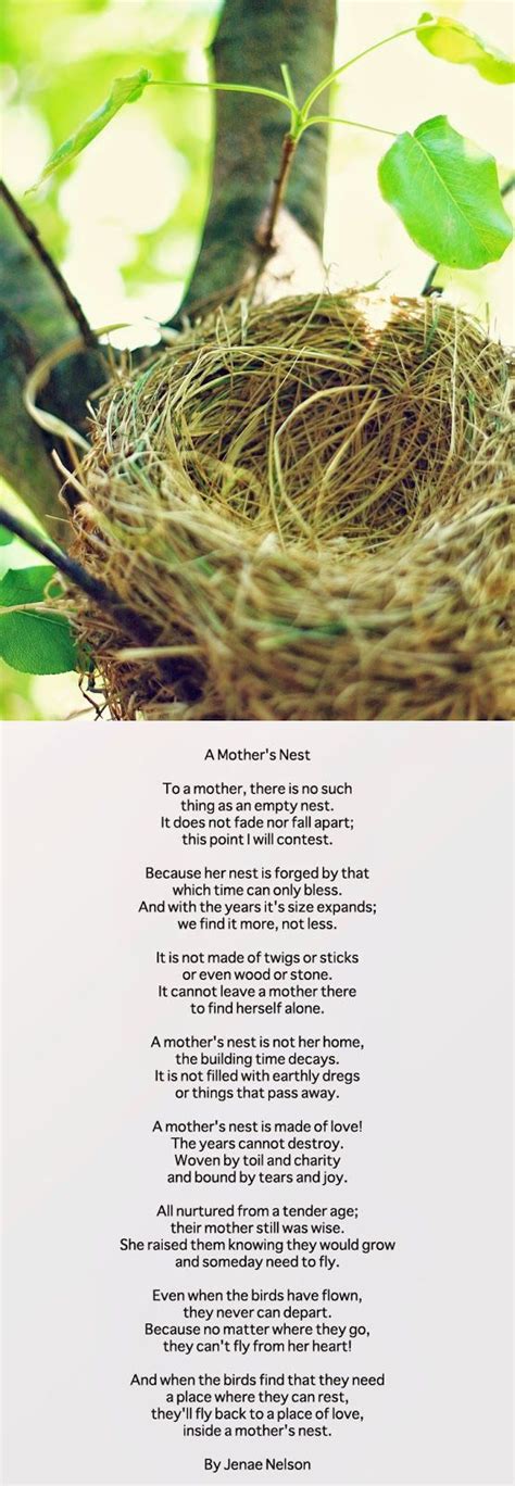 A Mothers Nest A Poem For My Mom Poem For My Mom Mom Poems Empty