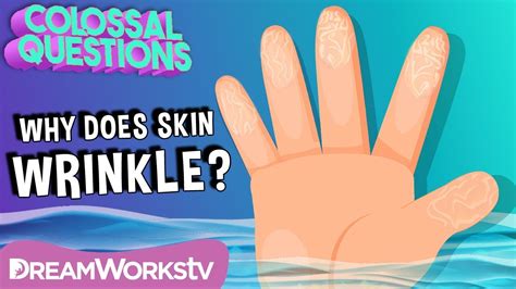 Why Does Skin Wrinkle In Water Colossal Questions Youtube
