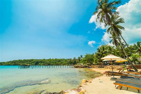 Beautiful Tropical Beach And Sea With Coconut Palm Tree In Paradise