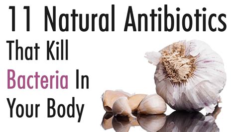 11 Natural Antibiotics That Kill Bacteria In Your Body Power Of