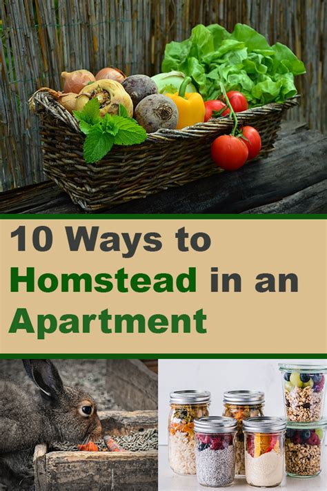 How To Homestead In An Apartment Homesteading Homestead Apartment