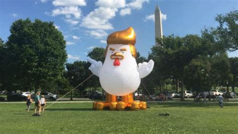 Inflatable Chicken Resembling Trump Placed Near White House The Hill