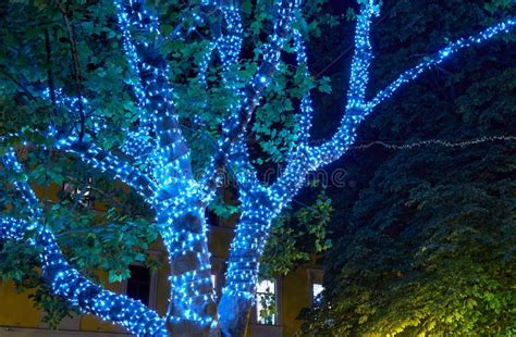 Close View Of Tree Illumination Garland At Night City Street Stock