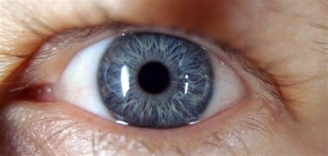 Pupil Size Is A Marker Of Intelligence According To New Research What