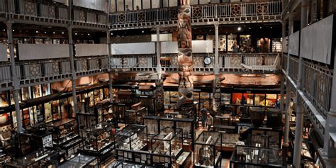 Pitt Rivers Museum And Museum Of Natural History To Reopen On 22