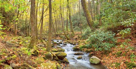 Great Smoky Mountains National Park Vacation Travel Guide